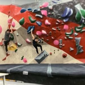 Meet your Posher, Audrey